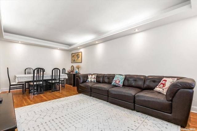 living room featuring hardwood / wood-style floors and a raised ceiling