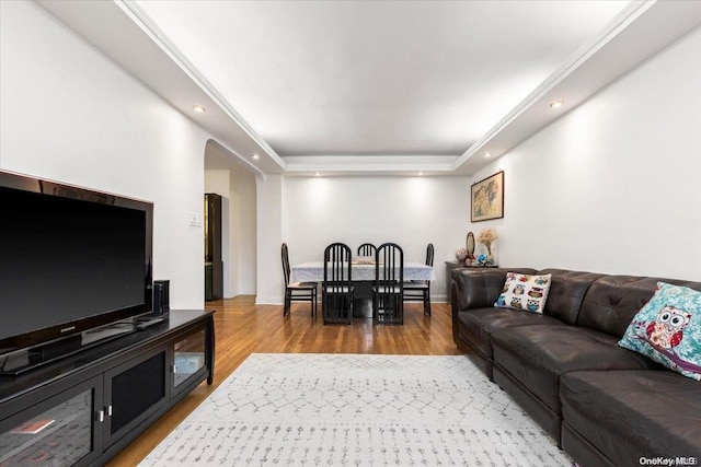 living room featuring a tray ceiling and light wood-type flooring