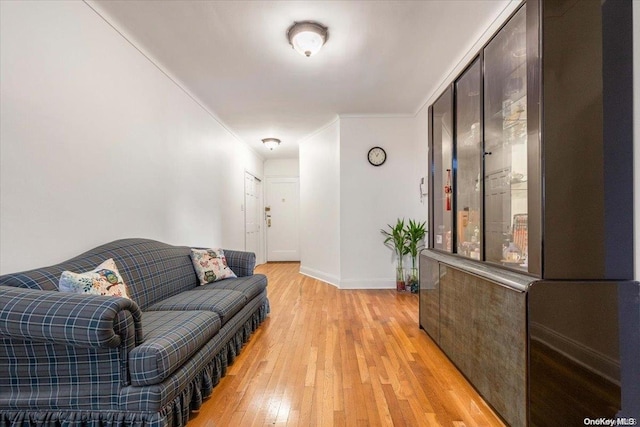 living room featuring light hardwood / wood-style flooring