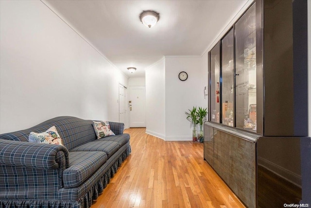 64-11 99th St Unit 304, Rego Park, NY 11374 - living room featuring light wood-style floors and ornamental molding