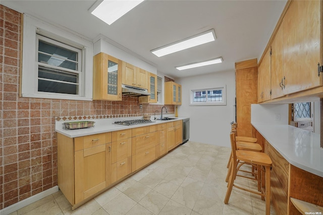 kitchen featuring sink, light brown cabinets, decorative backsplash, light tile patterned floors, and appliances with stainless steel finishes