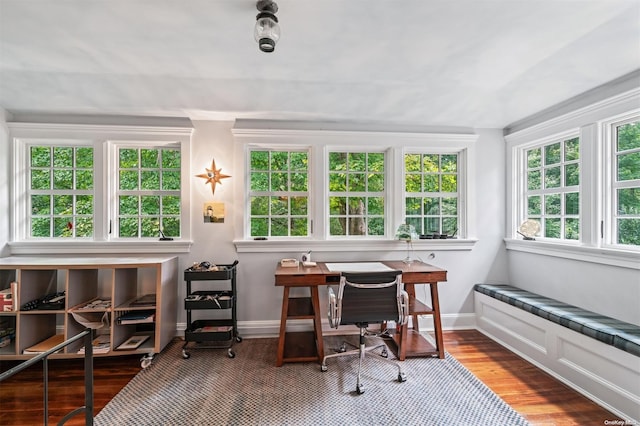 home office featuring wood-type flooring