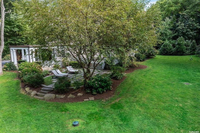 view of yard with a patio