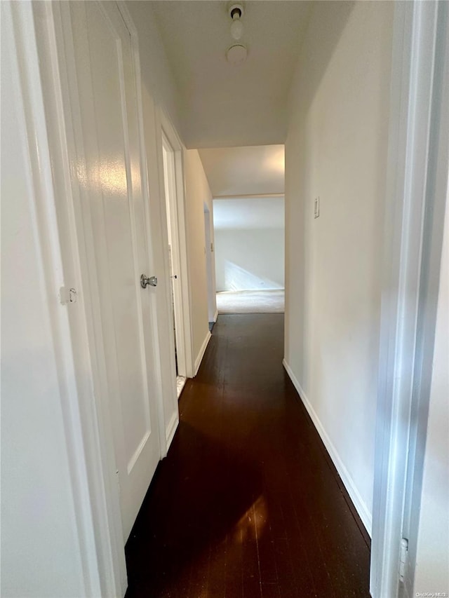 hall featuring dark hardwood / wood-style flooring