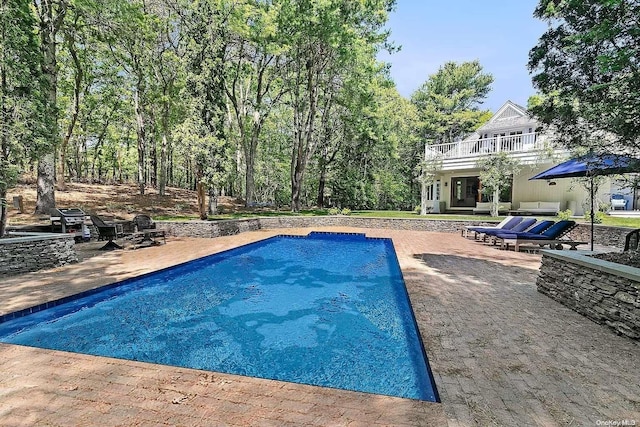 view of swimming pool featuring a patio