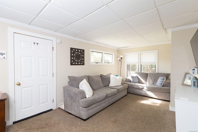 carpeted living room with a paneled ceiling and ornamental molding