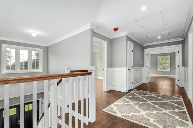 hall with dark hardwood / wood-style floors and ornamental molding