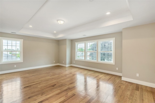 empty room featuring light hardwood / wood-style floors and a raised ceiling