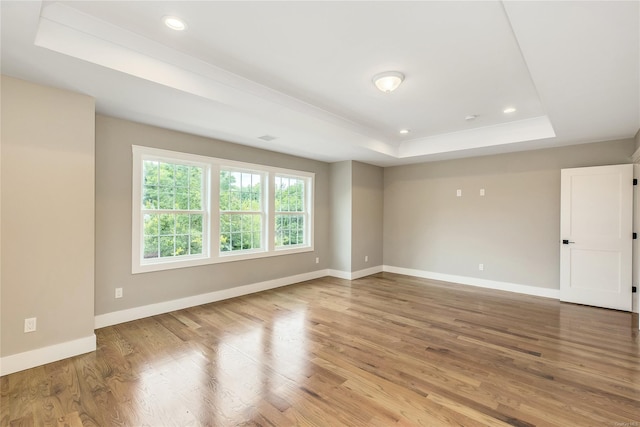 spare room featuring a raised ceiling and wood-type flooring