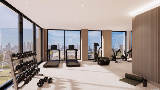31-16 21st St Unit 5F, Astoria, NY 11106 - gym with a skyline view, carpet flooring, a wall of windows, and healthy amount of natural light