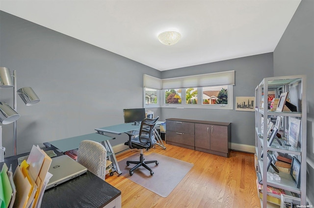 office space featuring light hardwood / wood-style floors