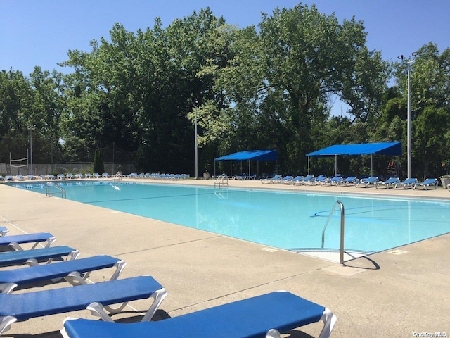 view of pool featuring a patio