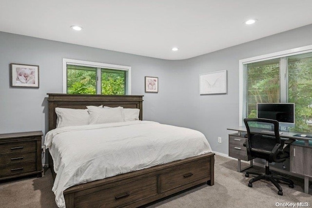 view of carpeted bedroom