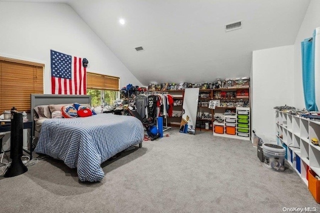 carpeted bedroom with lofted ceiling