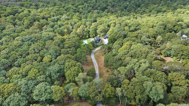 707 Pleasure Dr, Flanders, NY 11901 - aerial view of property's location featuring a heavily wooded area