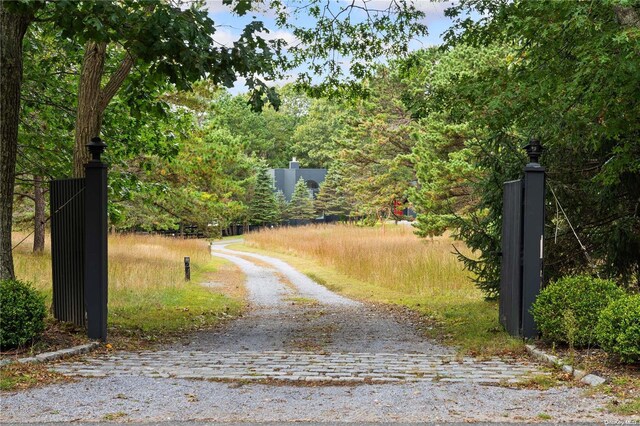 707 Pleasure Dr, Flanders, NY 11901 - view of dirt / gravel road