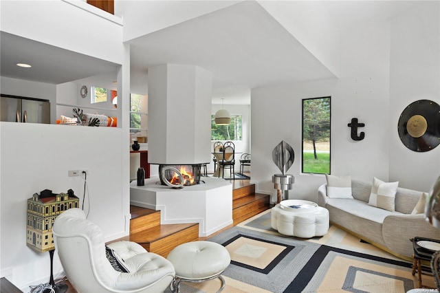 living room featuring a multi sided fireplace and wood-type flooring