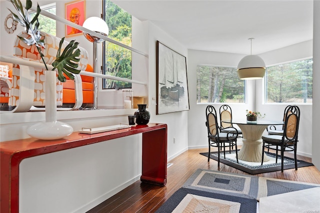 707 Pleasure Dr, Flanders, NY 11901 - dining space with wood finished floors, plenty of natural light, and baseboards