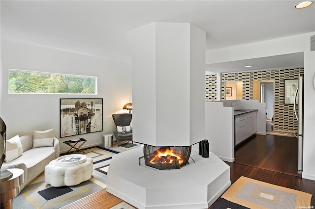 living room featuring a multi sided fireplace, sink, and dark wood-type flooring