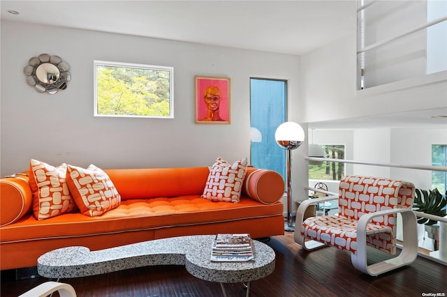 living room featuring hardwood / wood-style flooring