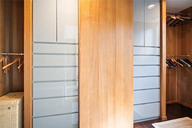 707 Pleasure Dr, Flanders, NY 11901 - walk in closet featuring wood finished floors
