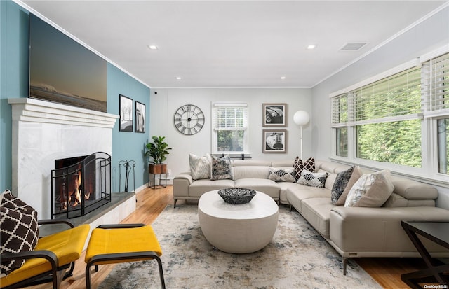 living room featuring light wood-type flooring, a fireplace, and a wealth of natural light