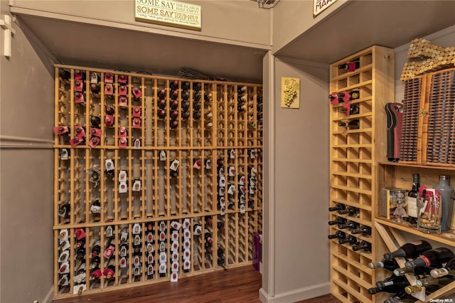 wine area with wood-type flooring