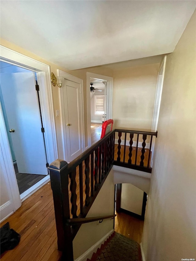 stairway with hardwood / wood-style floors