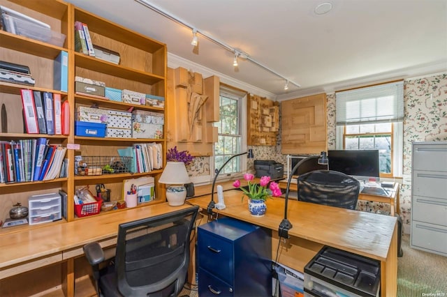 office area featuring crown molding, plenty of natural light, and rail lighting