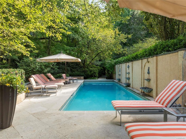 view of pool with a patio