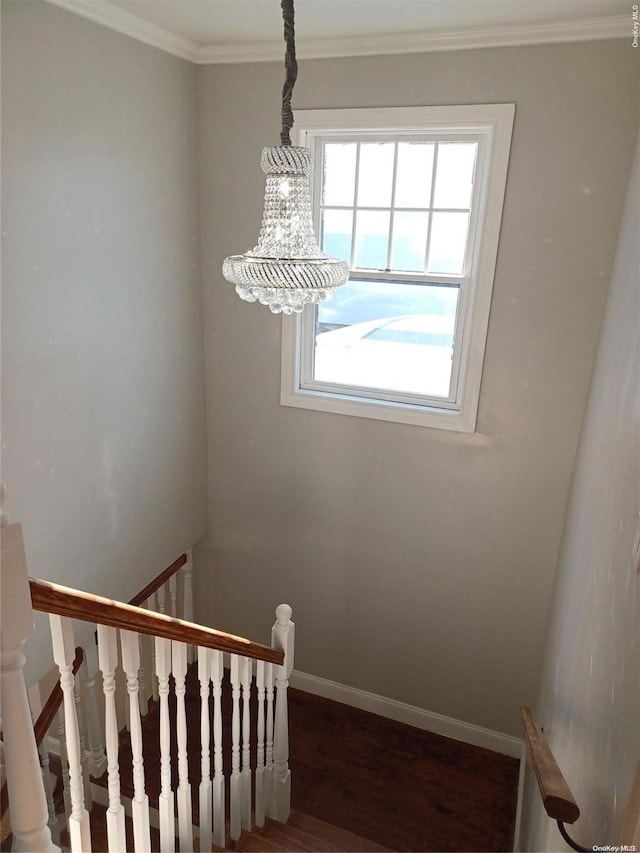 stairway featuring crown molding, a chandelier, and hardwood / wood-style flooring