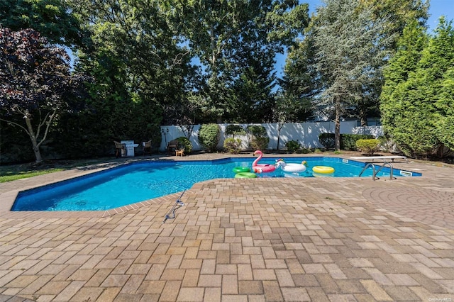 view of swimming pool with a diving board and a patio area