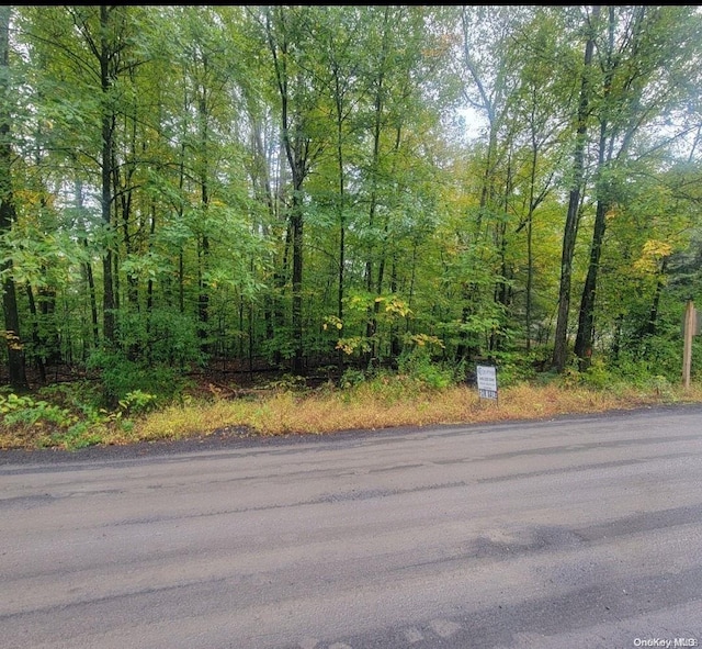 N Decter Dr, Kerhonkson NY, 12446 land for sale