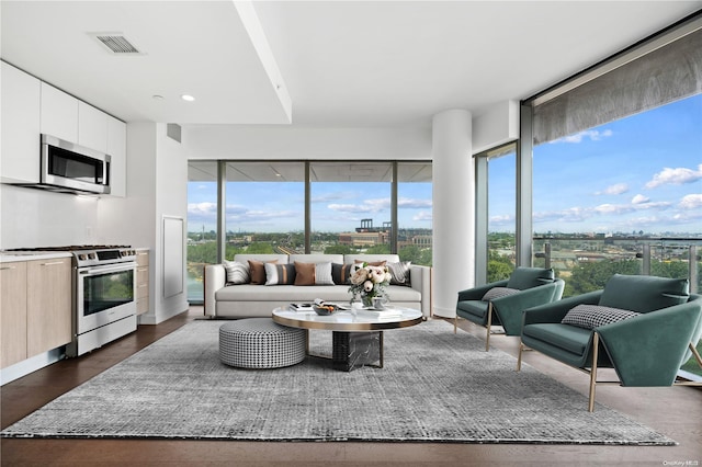 living room with plenty of natural light and dark hardwood / wood-style flooring