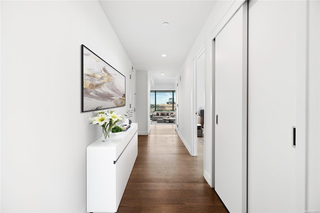 hallway featuring dark hardwood / wood-style floors