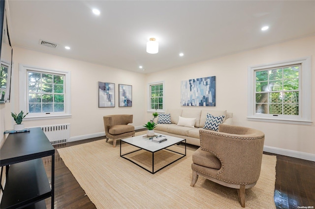 living room featuring radiator, plenty of natural light, and hardwood / wood-style flooring