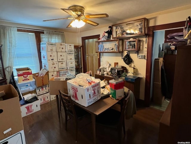 dining room with dark hardwood / wood-style flooring and ceiling fan