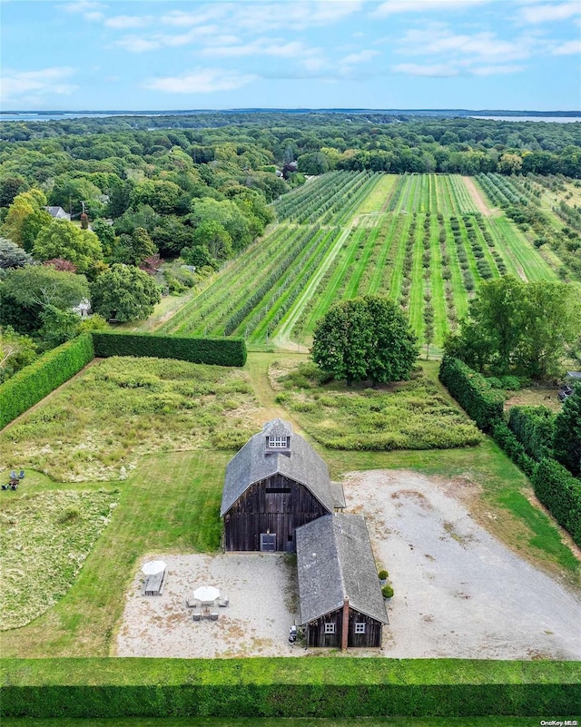 aerial view with a rural view