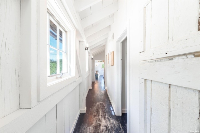 corridor featuring wooden walls, dark hardwood / wood-style flooring, and vaulted ceiling