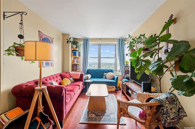 living room featuring hardwood / wood-style floors