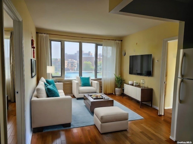 living room with wood-type flooring