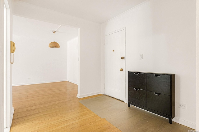 entryway featuring wood-type flooring