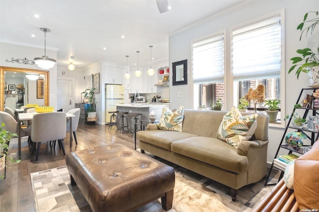 living room with hardwood / wood-style floors, ornamental molding, and sink