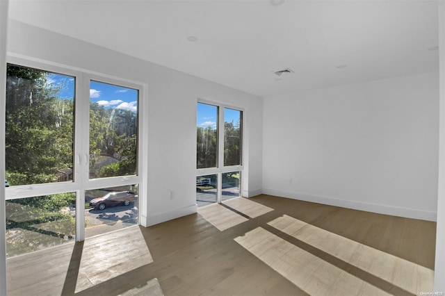 spare room featuring wood-type flooring