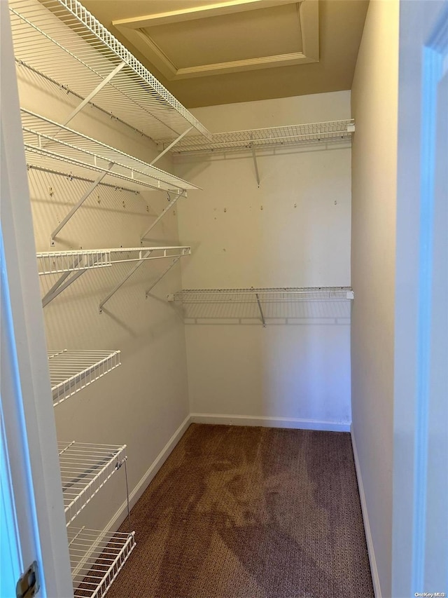 walk in closet featuring dark colored carpet