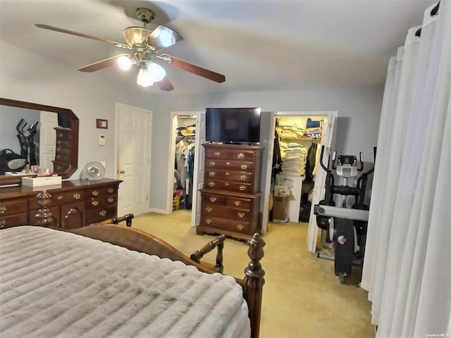 carpeted bedroom featuring a walk in closet, ceiling fan, and a closet