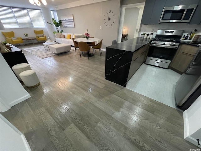 kitchen with stainless steel appliances and light hardwood / wood-style flooring