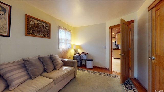 living room with wood-type flooring