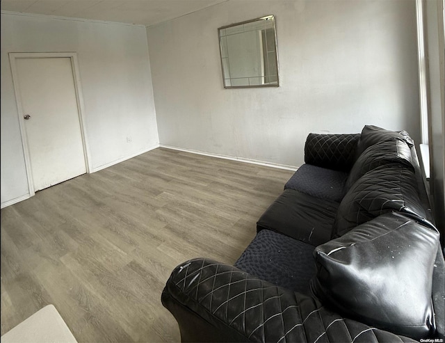 living room with hardwood / wood-style flooring