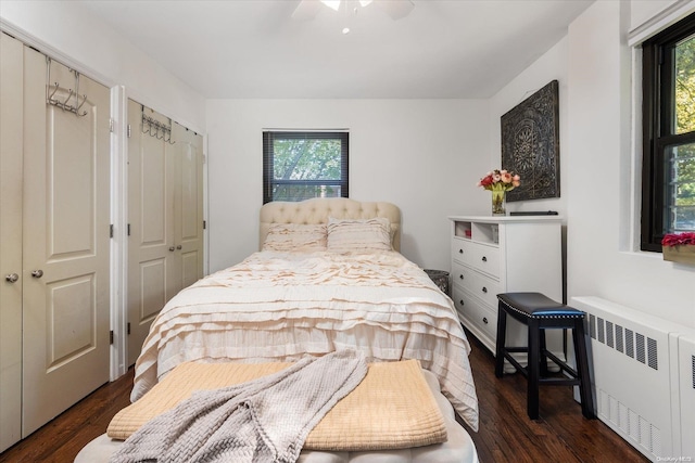 bedroom featuring radiator, ceiling fan, dark hardwood / wood-style flooring, and multiple windows